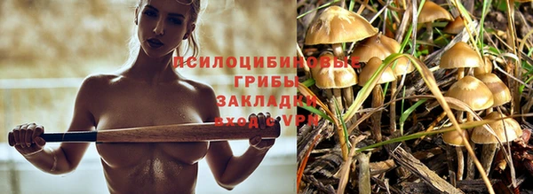 2c-b Баксан