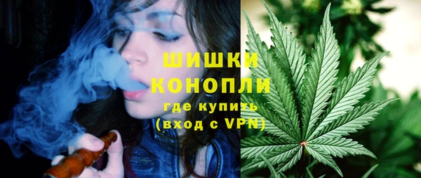 соль ск Тавда