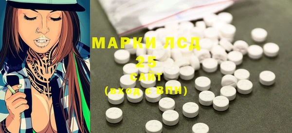 прущие грибы Балахна