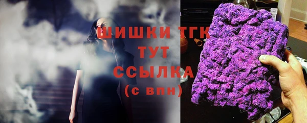 прущие грибы Балахна