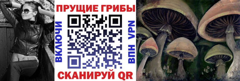 mega ONION Верхняя Пышма Галлюциногенные грибы прущие грибы